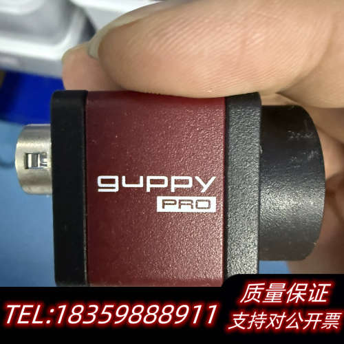 AVT GPF-503B工业相机，500万像素Guppy.询价