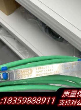 CMR GROUP光纤传感器线缆，绿色线身，带金属探针。.询价