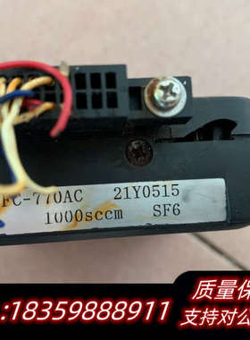 Aera 气体流量计 FC-770AC.询价