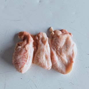 山羊尿泡 羊膀胱