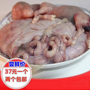 山羊胎盘 羊房子 羊衣包 滋养 美容 养生2只包邮