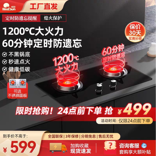 红日红外线燃气灶煤气灶液化气天然气灶猛火定时节能双灶 EM208B