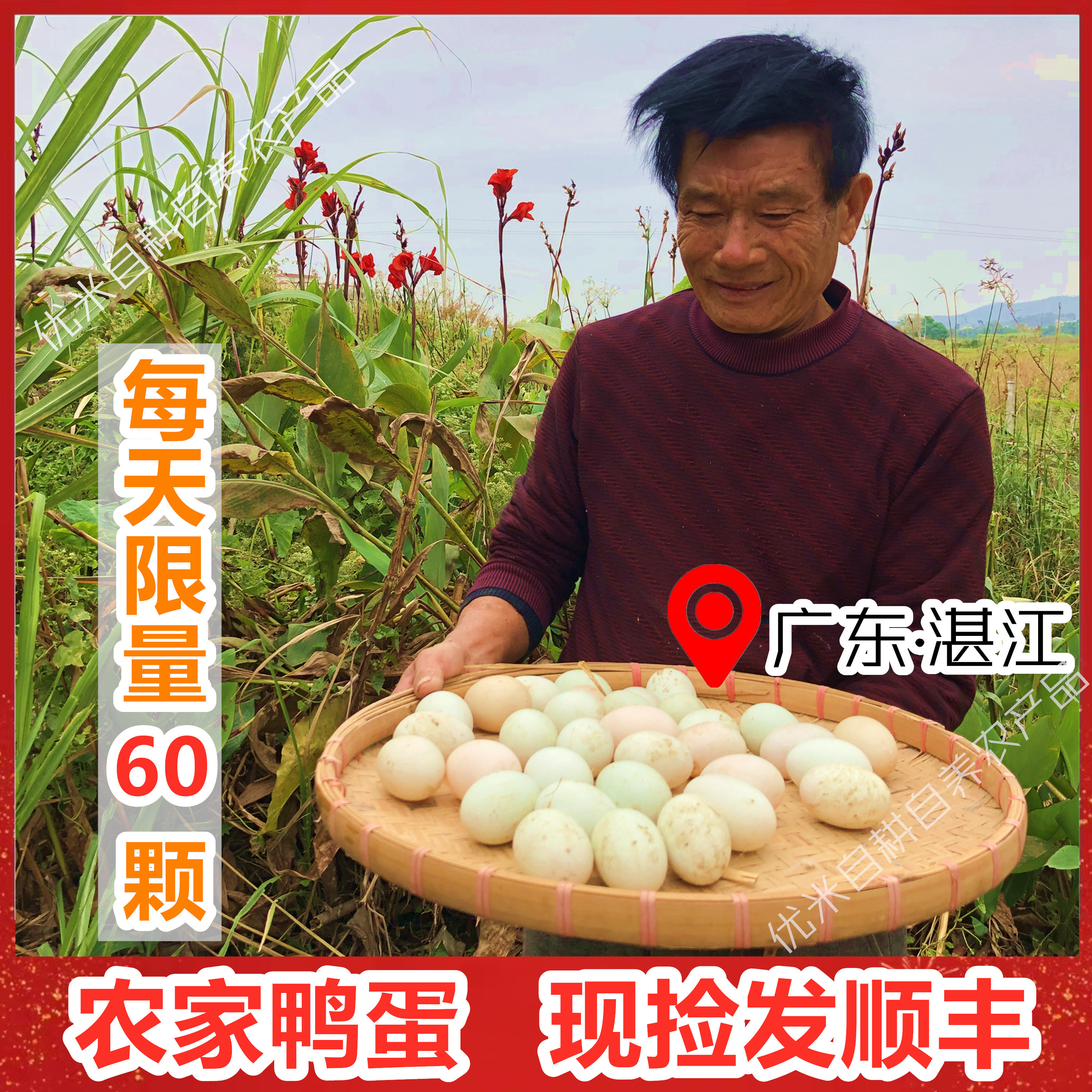 新鲜土鸭蛋农家鸭蛋散养广东湛江白切鸭乡下农村鸭蛋走地杂粮鸭蛋