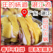 湛江鸡阉鸡安铺鸡扇鸡番鸭老母土鸡鸭走地鸡广东先发仔生鲜可白切