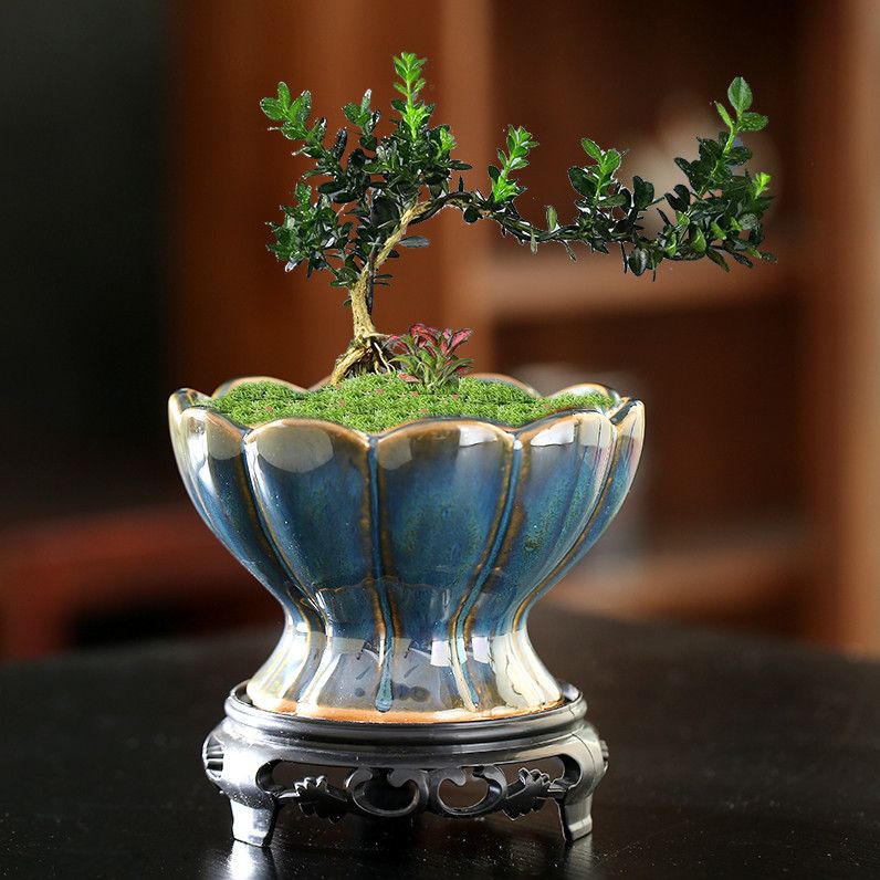 网红莲花窑变花盆陶瓷家用阳台陶土粗陶花盘中小陶盆清仓工厂直销