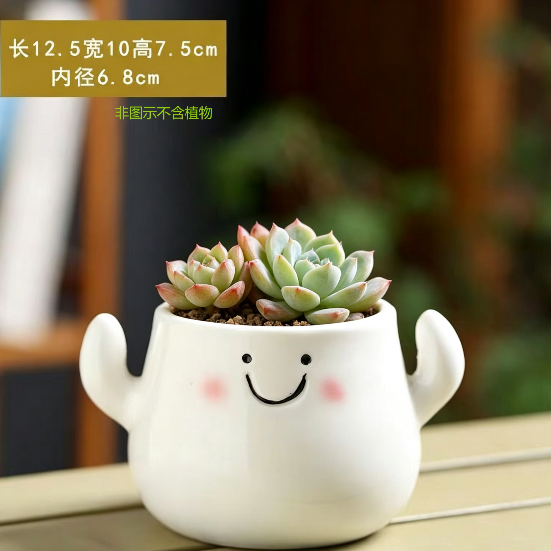创意卡通动物造型多肉花盆家用客厅桌面装饰摆件
