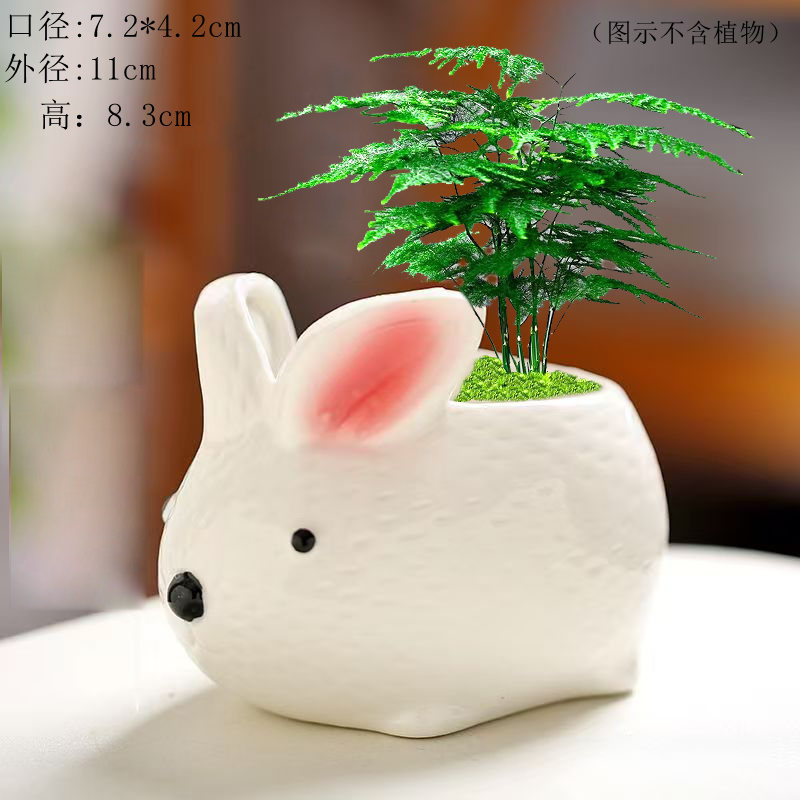 创意特价清仓卡通小兔可爱动物花盆多肉植物陶瓷盆大小号组合套装