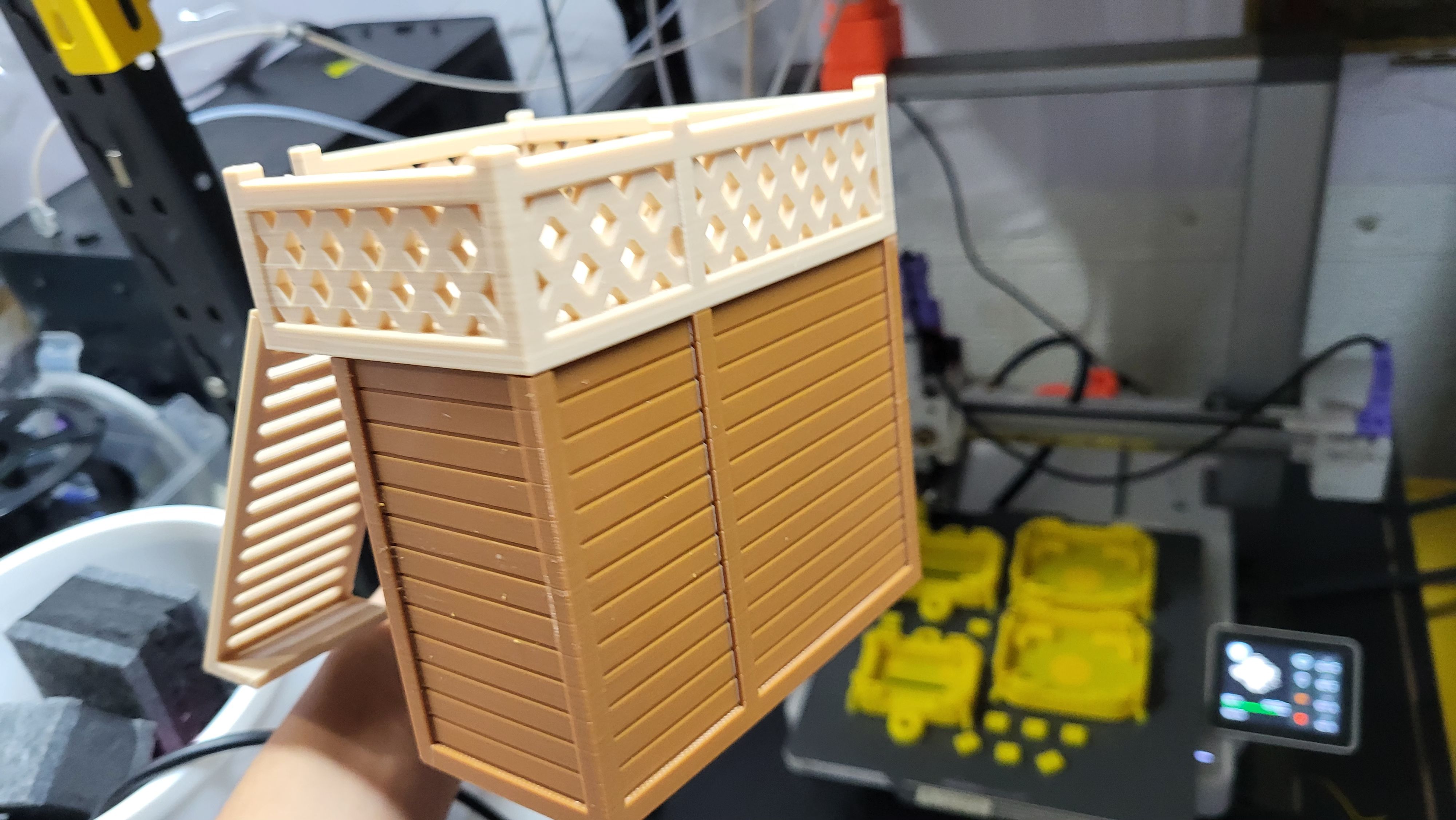 （售后需录开箱视频）寄居蟹爬宠二层躲避