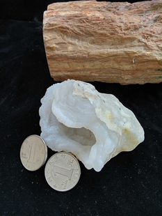 天然玛瑙花原石象形吐钱金蟾