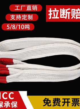 工业吊带5/10吨t3/4/6/8米尼龙起重吊带工程双扣扁平吊装带吊车带