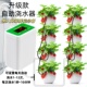 定时定量自动浇水器家用阳台小型滴水灌溉水泵懒人种菜养花洒水器