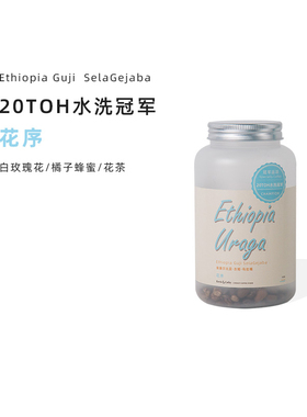 TOH20水洗组冠军 花序 手冲单品精品罐装咖啡豆