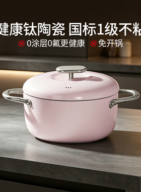 德世朗钛陶瓷不粘汤锅22cm加深家用大容量炖锅电磁炉燃气通用