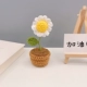 Mini Chick Potted Material+Учебник