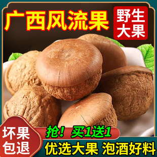 正宗广西野生风流果中药材500g大容量泡酒泡茶泡水喝石头果正品