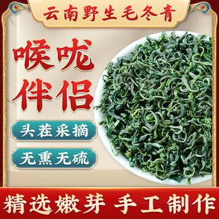 云南特级毛冬青250克大规格泡水喝嫩叶芽云南特产官方正品旗舰店S