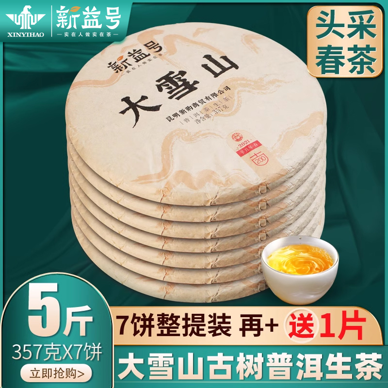 新益号2021新茶古树春茶古200大雪山普洱茶生茶饼云南七子饼茶叶