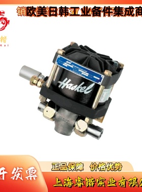 DSTV-1.5 HASKEL 哈斯克尔 空气驱动液体泵