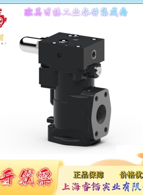 DBV40[25]  RICKMEIER 阀门