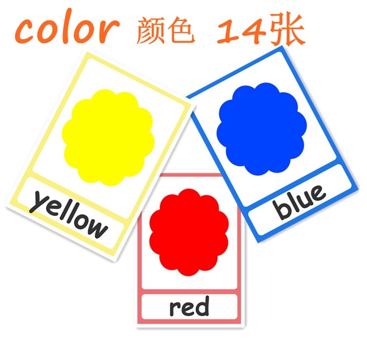 英语单词闪卡color颜色卡早教启蒙认知卡幼儿园教师教具教室装饰