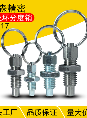 GN717拉环柱塞不锈钢柱塞弹簧定位锁销复位型分度销M6M8M10M12M16