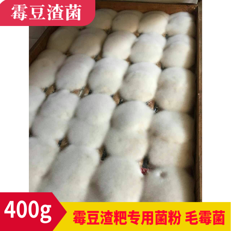 Bean dregs Dedicated Mucor Bean dregs Mushroom powder mould 400 fermentation Mushroom powder Bean curd Sufuin the Agri rice/Dried foods/Condiment , Meter/Flour/Grains , Flour/Edible powder  category - from Buy2taobao.com to provide professional Taobao agent buy service