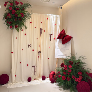 圣诞节新年生日网红直播间背景墙奶油布幔红丝绒抱枕氛围场景装 饰
