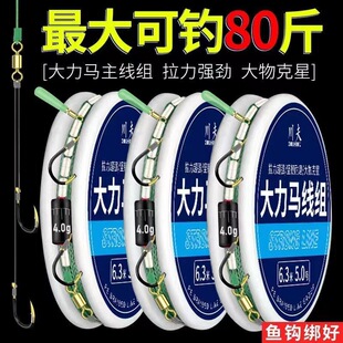 大力马线组成品主线组绑好子线双钩台钓套装 组合全套绑好大物钩