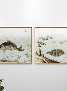鱼图案挂画渔村海鲜鱼类图鉴新中式餐厅装饰画烤鱼店渔具店壁画