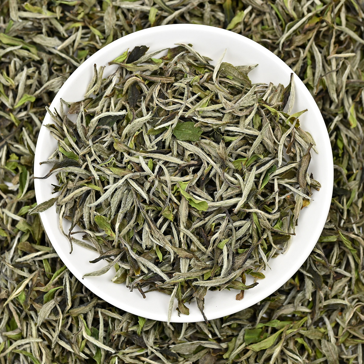 2026新茶松溪九龙大白牡丹白茶叶传统日晒工艺毫香花香125g袋装