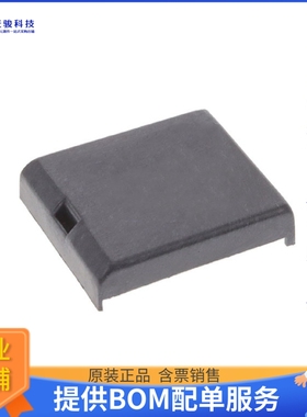 DS9034PC+《存储器芯片PCM W/O CRYSTAL NV SRAM SNAP-ON》