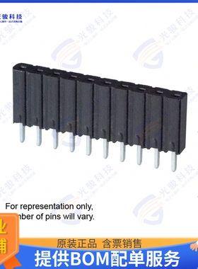 929974-01-31-RK 连接器CONN RCPT 31POS 0.1 TIN PCB