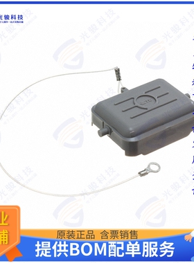 T1010062100-000连接器 H6B-KDBP