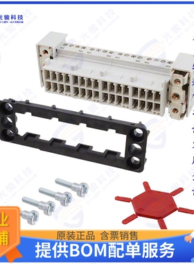 1607418连接器 CONN FRAME INSERT 31+GND