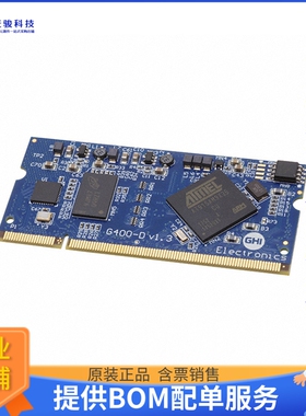 G400D-SM-400微控器《IC MOD ARM926EJ-S 400MHZ 32KB》