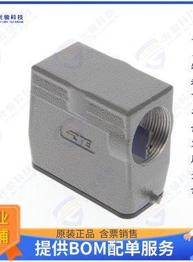 T1319100121-000连接器 H10A-TS-PG21