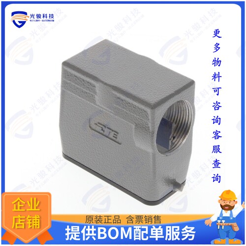 T1319100121-000连接器 H10A-TS-PG21