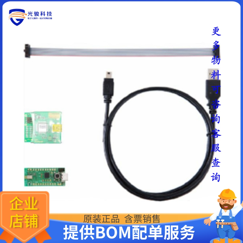 ES2811AA2-EVK【EVALUATION KIT (BOARD+DEBUGGER)】射频评估板