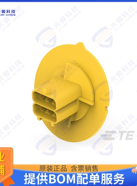 2-2381608-6 连接器POWER VERSA-LOCK TNL CAP, 2X3 KE