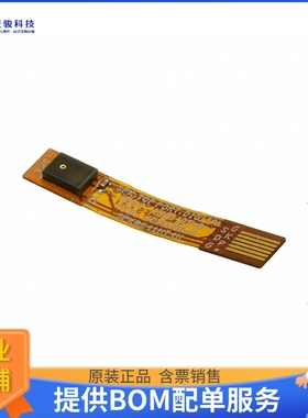 KAS-700-0145【RAMIS EVAL MIC ON FLEX, 2 PK】评估和演示板套件