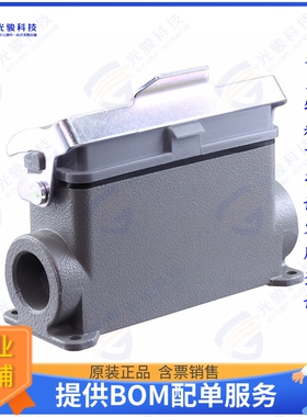 T1660243121-000连接器 H24B-SDRH-LB-PG21