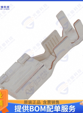 316041-6 连接器CONN SOCKET 10-12AWG CRIMP SILVR