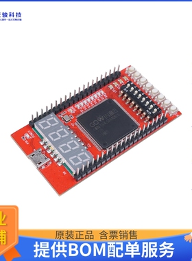 114992325【GOWIN RUNBER FPGA DEV BOARD】FPGA、CPLD评估板