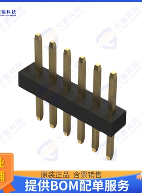 BC020-06-A-0200-0300-L-G 连接器6POS 1.0MM PITCH PIN HEADER,