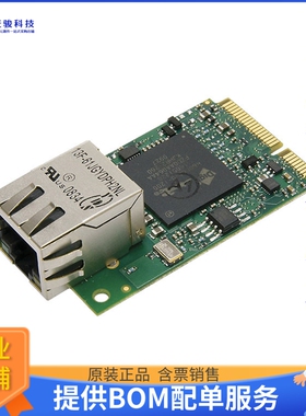 20-101-1319微控器《IC MOD RABBIT 6000 162.5MHZ》
