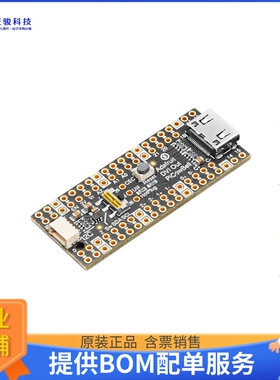 5745[PICOWBELL DVI OUTPUT RPI PICO]评估板