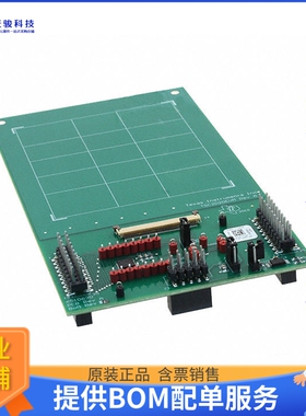 TSC2020EVM[EVAL BOARD FOR TSC2020]评估板