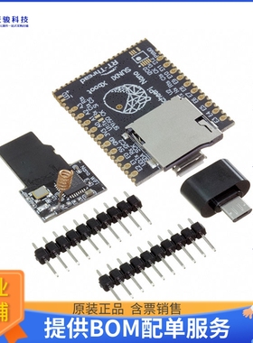 102110201【SIPEED LICHEE NANO 16M+WIFI BRD】嵌入式MCU、DSP