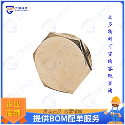 9000005075连接器 ACCES BLANKING PIECE PG 36 WITH