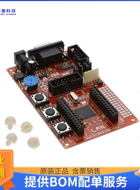 PIC32-WEB[PIC32MX460F512 EVAL BOARD]评估板